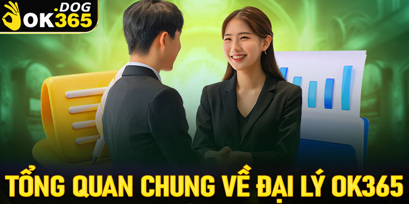 Tổng quan chung về chính sách đại lý OK365