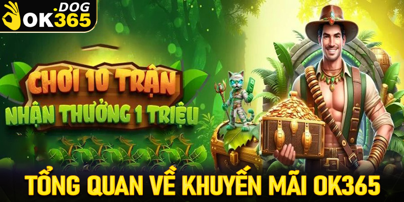 Thông tin tổng quan về trang chính sách khuyến mãi OK365