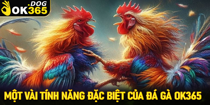 Một vài tính năng đặc biệt đang được sàn đá gà OK365 cung cấp