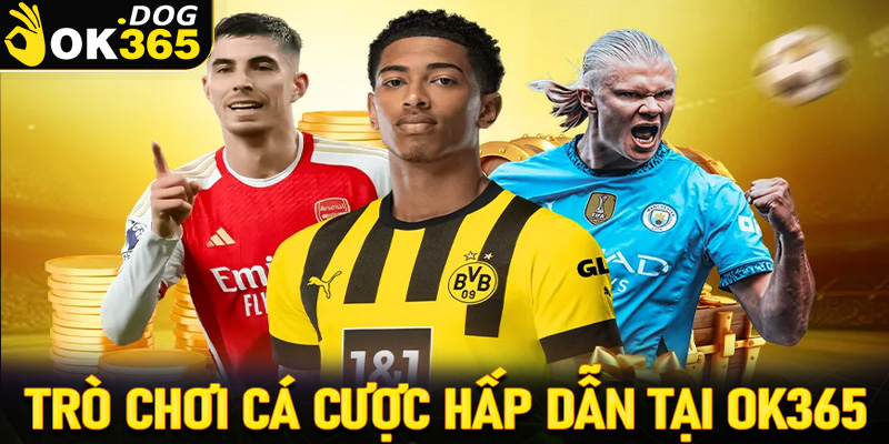 Tổng hợp những trò chơi cá cược hấp dẫn đang được OK365 phát hành